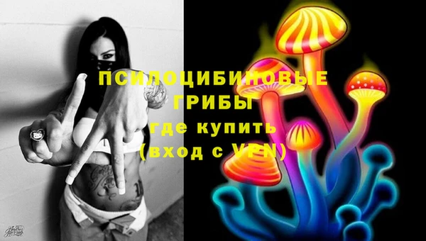 каннабис Арсеньев