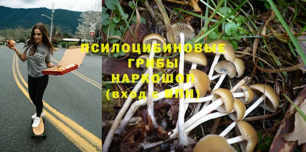 бутират Снежногорск