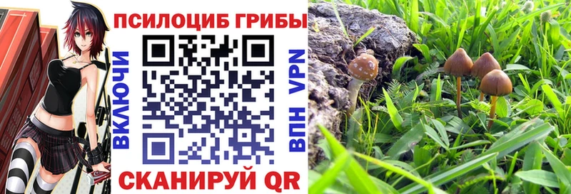 купить MEGA маркетплейс Псилоцибиновые грибы ЛСД Белокуриха